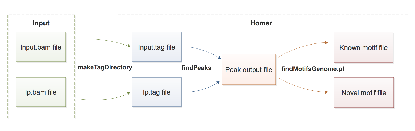 homer motif analysis